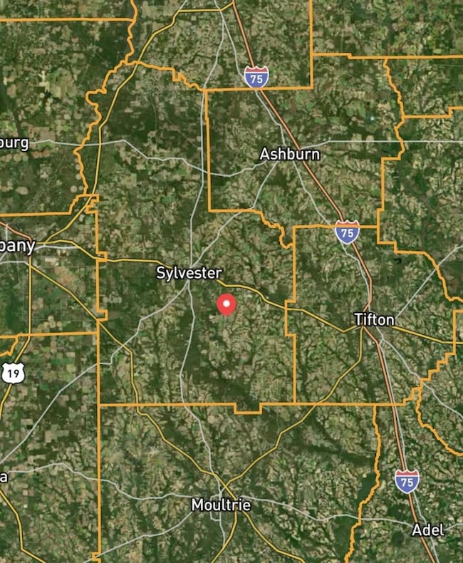 000 Georgia 256, Sylvester, GA 31791 - photo 2