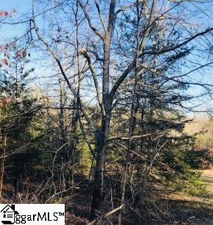 199 Lightning Ln, Travelers Rest, SC 29690 - photo 2