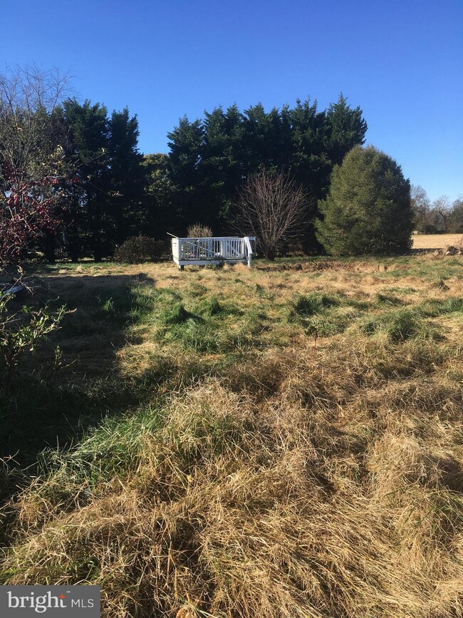 25500 Worton Lynch Rd, Worton, MD 21678 - photo 4