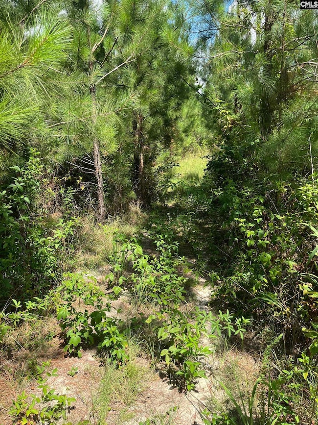 BFF 1A J C Barefoot Rd unit BFF 1A, Patrick, SC 29584 - photo 5