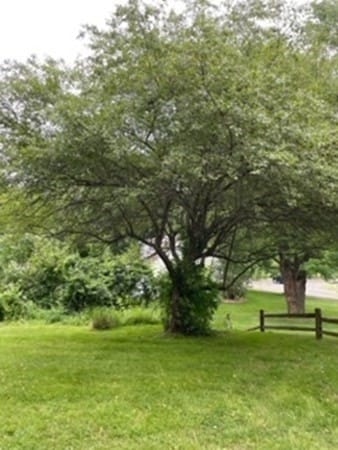 105 Bradford Dr, Feeding Hills, MA 01030 - photo 7