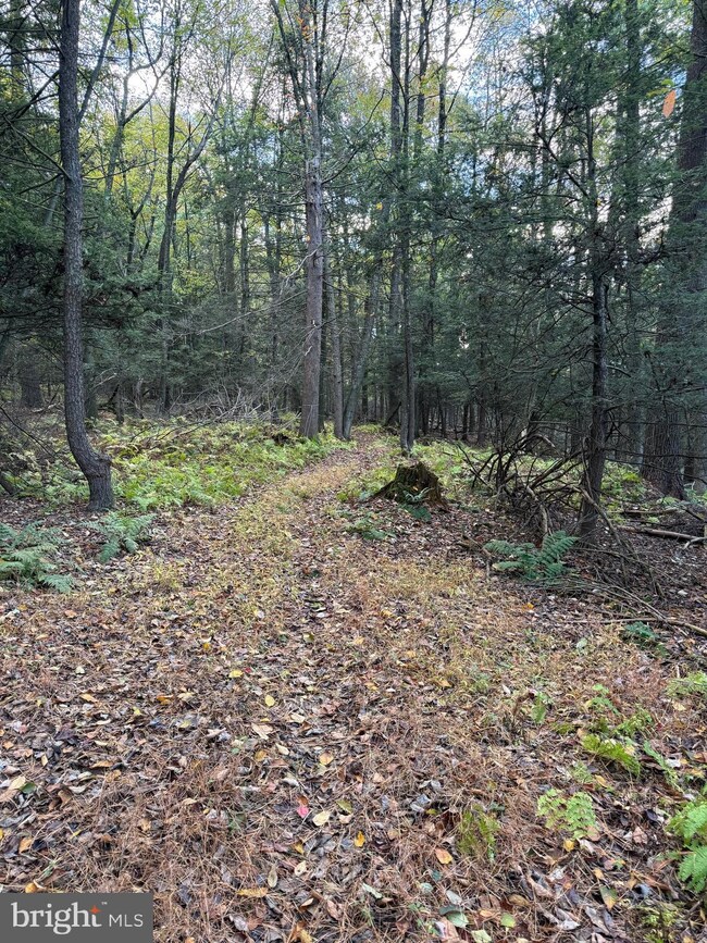 1158 Laurel Grove Rd, New Bloomfield, PA 17068 - photo 7