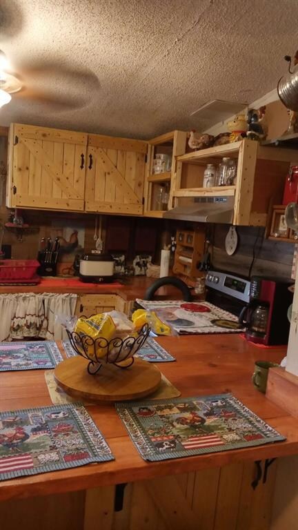 4700 Cedar Ln, Cleburne, TX 76031 - photo 6