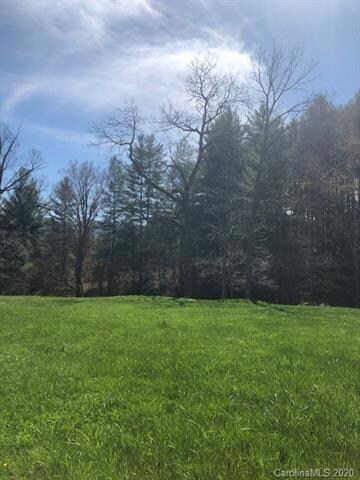 99999 Barebridge Dr unit 54 & 55, Burnsville, NC 28714 - photo 3