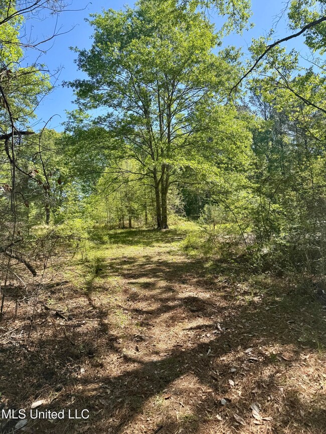 trail