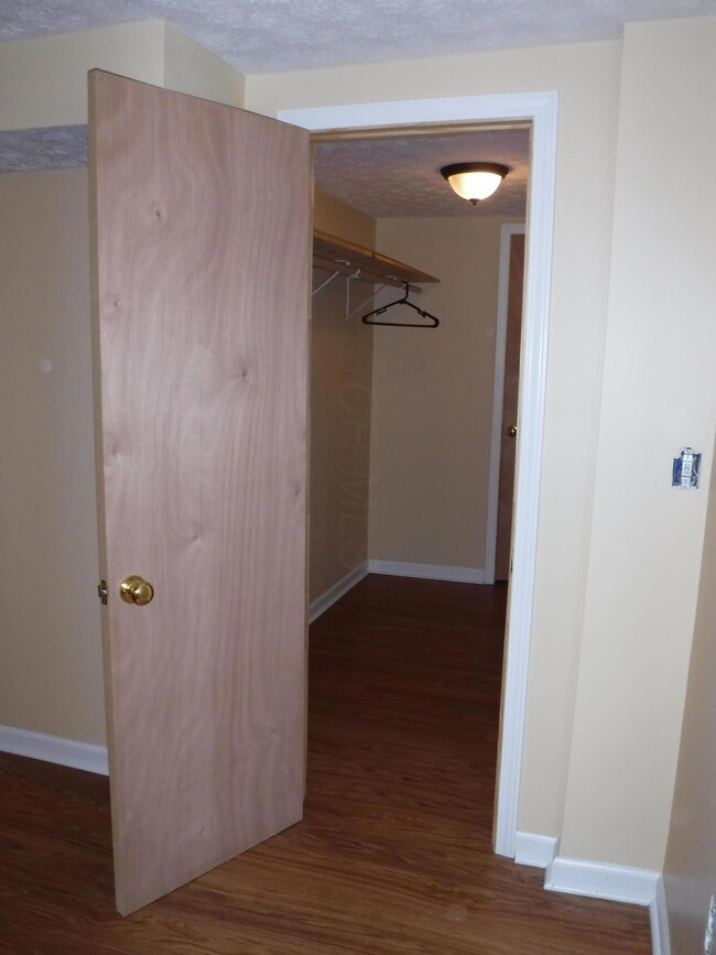 basement bdrm with large walk-in closet