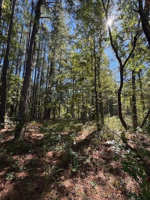 0 Poplar Creek Dr unit 25028030, Elloree, SC 29047 - photo 4