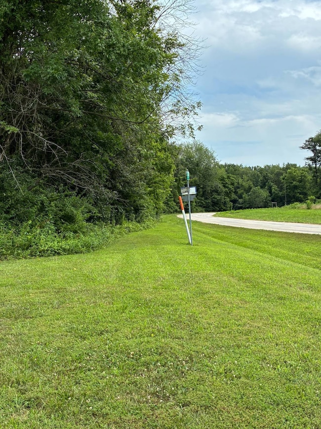 000 Petrolia Ln, Bridgeport, IL 62417 - photo 3