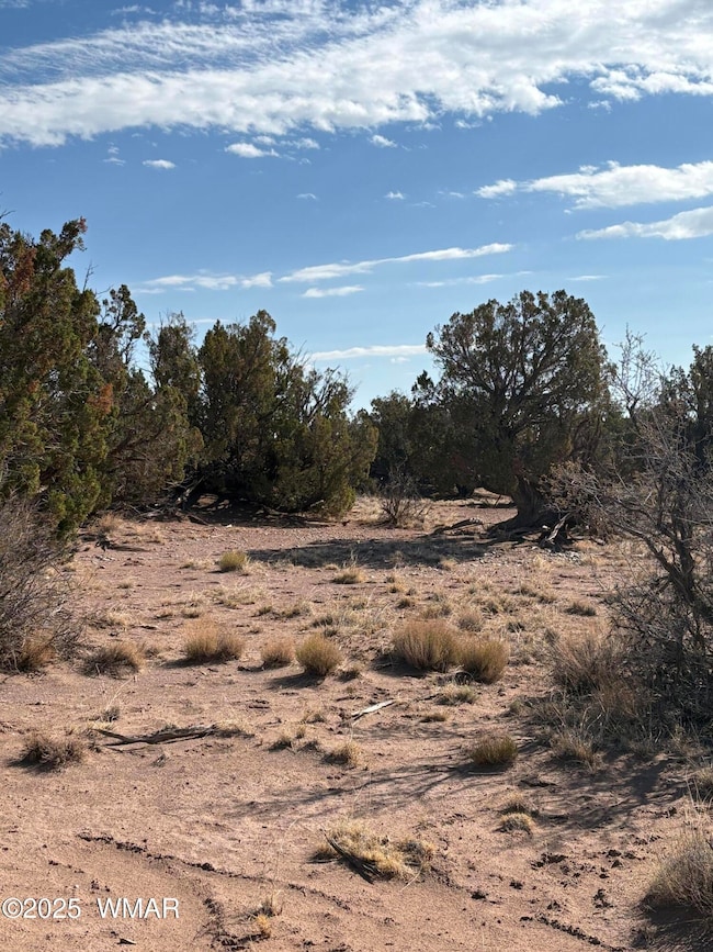 8580c Lawson Ln unit Parcel C, Snowflake, AZ 85937 - photo 2