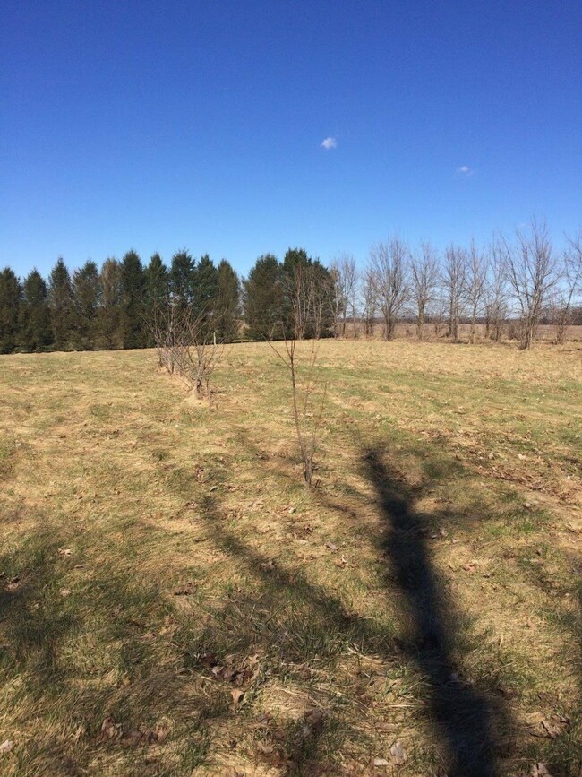 5249 E 50 N, La Porte, IN 46350 - photo 2