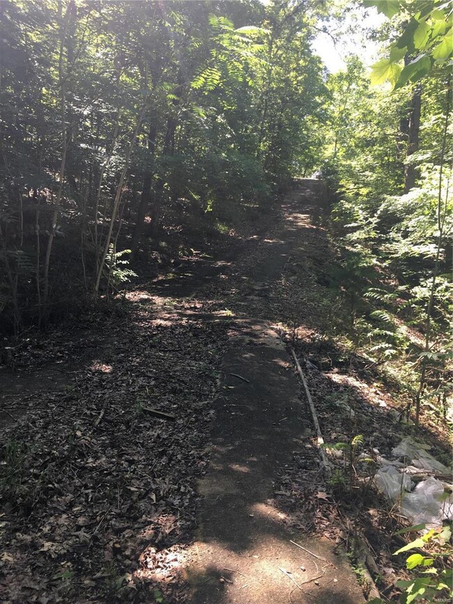 Temporary Driveway up to Franks RD. Property is on