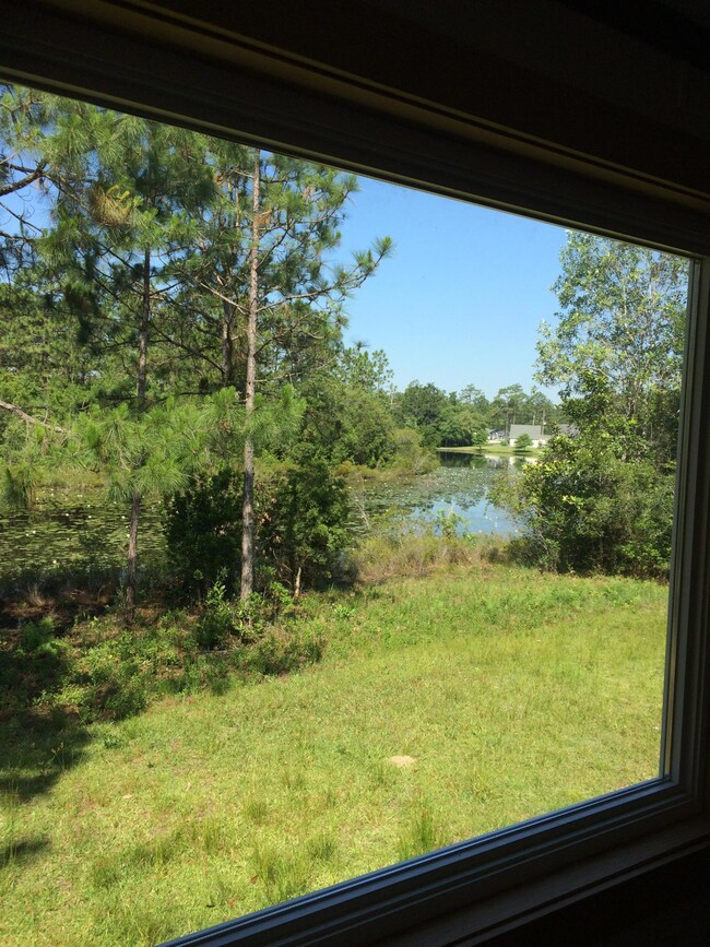 View from Great Room