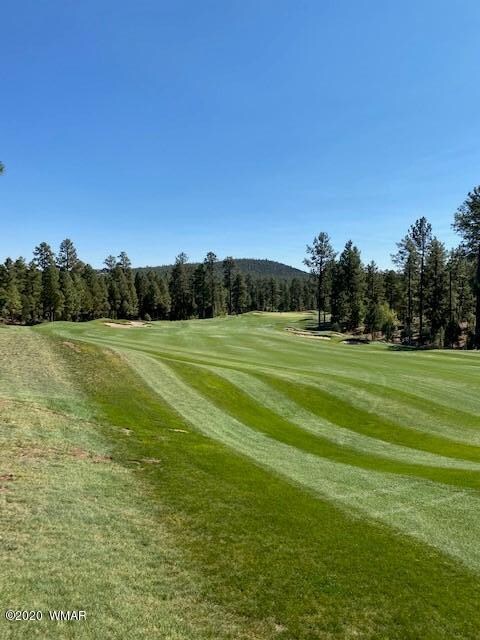 Fairway Views