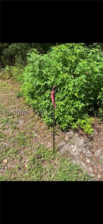 Front right corner of lot.