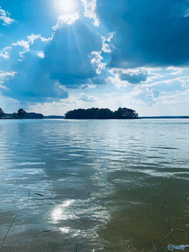 3152 Dykes Bridge Rd unit 205, Cedar Bluff, AL 35959 - photo 7