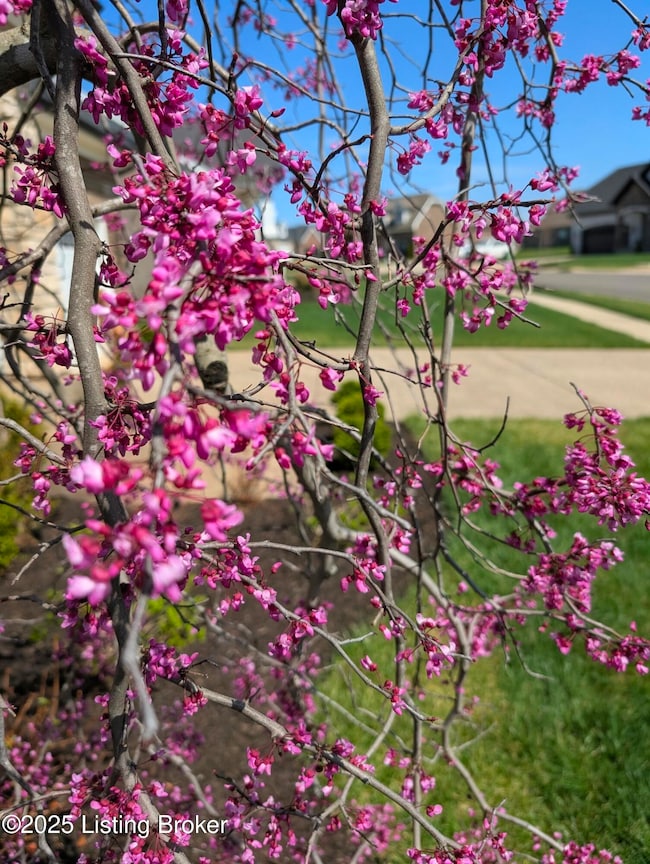 5709 Ruby Falls Dr, Prospect, KY 40059 - photo 5