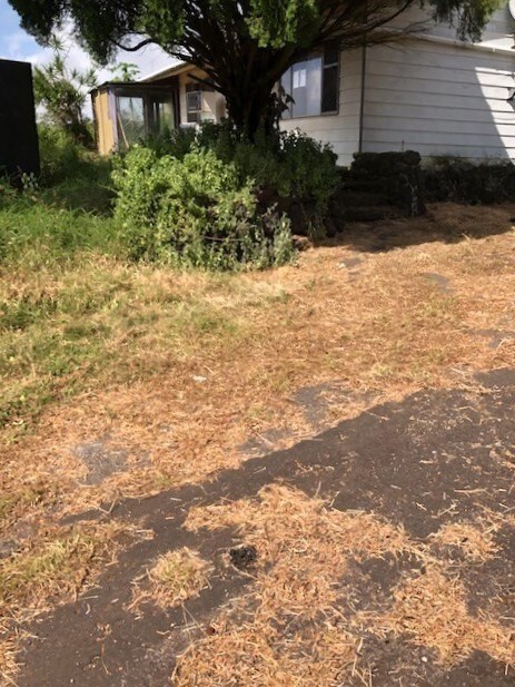 House from parking area.