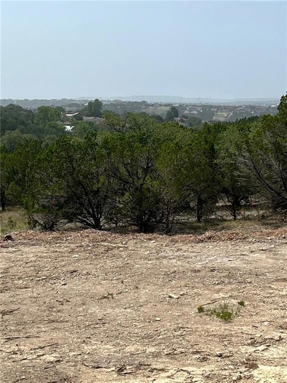 20705 Hayes Cove, Lago Vista, TX 78645 - photo 6