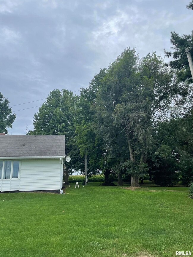 2389 Swain Rd, Jacksonville, IL 62650 - photo 4
