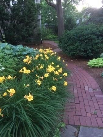 147 Highland Ave, Arlington, MA 02476 - photo 6