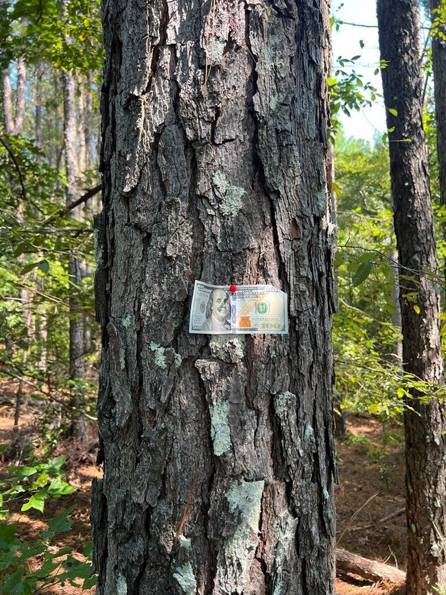 20.7 ac County Road 118, Water Valley, MS 38965 - photo 5