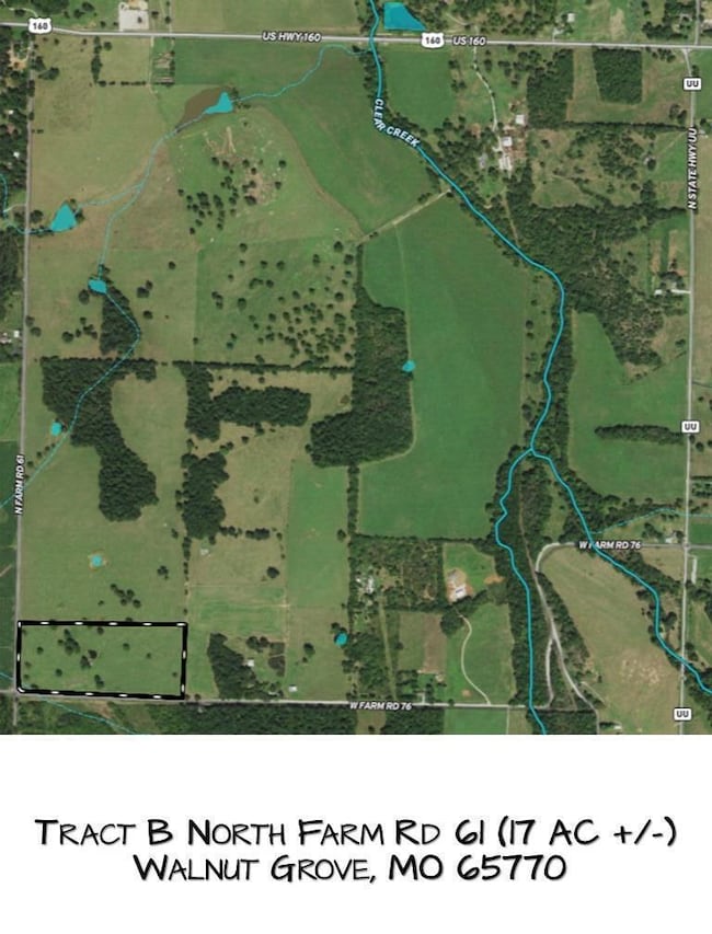 Tract B N Farm Road 61, Walnut Grove, MO 65770 - photo 5