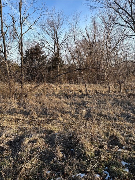 TBD Lot 7 Red Bud St, Green Forest, AR 72638 - photo 5