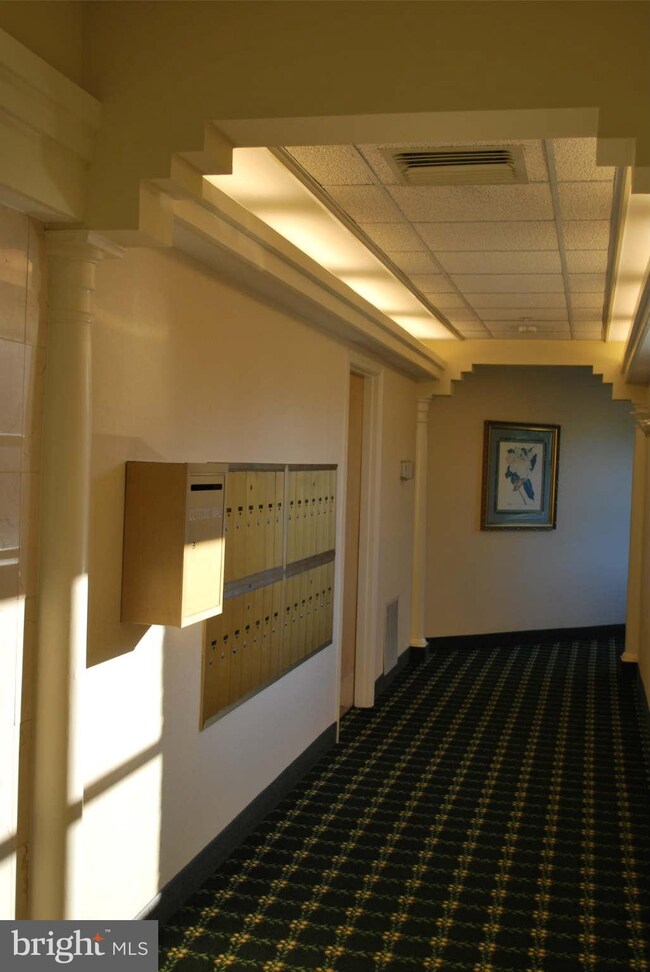 104 Mercer Ct unit 11-1A, Frederick, MD 21701 - photo 5