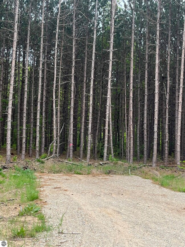 TBD Theron Rd unit B, Traverse City, MI 49685 - photo 5