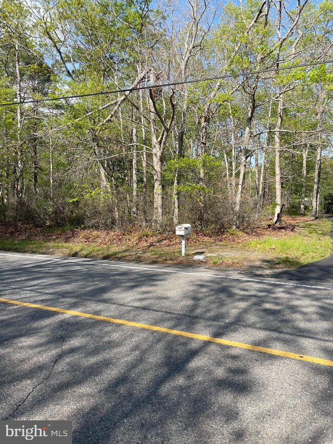 0 Stafford Forge Rd unit NJOC2010096, West Creek, NJ 08092 - photo 5