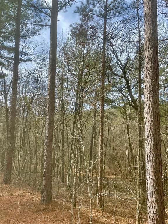 View of local wilderness