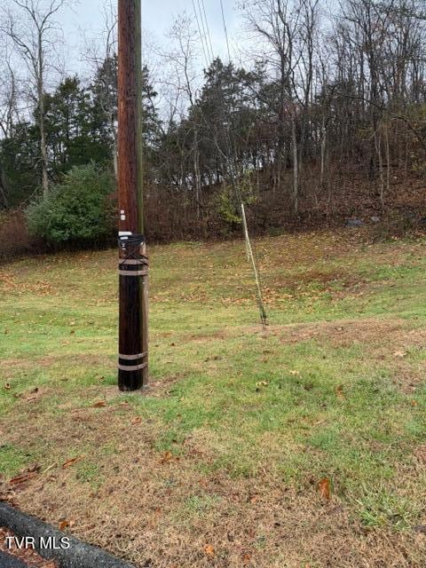 Tbd Shadow Hill Ln, Bristol, VA 24201 - photo 2