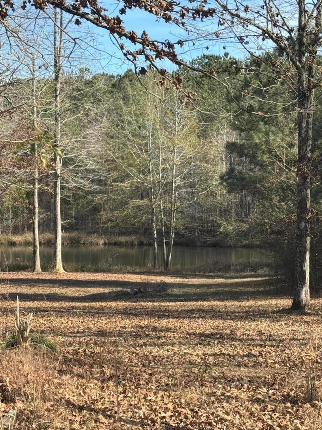 619 Miller Rd, Nauvoo, AL 35578 - photo 2