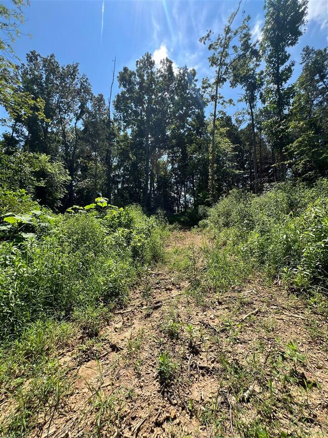 3688 E New Roe Rd, Adolphus, KY 42120 - photo 6