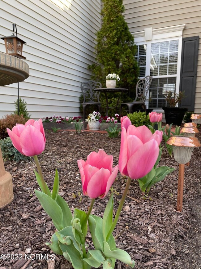 Curb Appeal