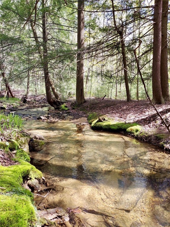 A view of the stream flowing through the property.