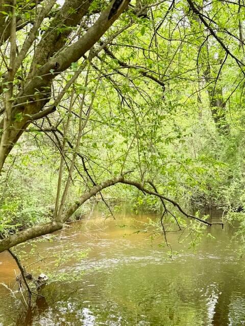 2150 Brown Rd, Hephzibah, GA 30815 - photo 7