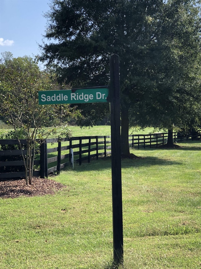 72 Saddle Ridge Dr, Siler City, NC 27344 - photo 6