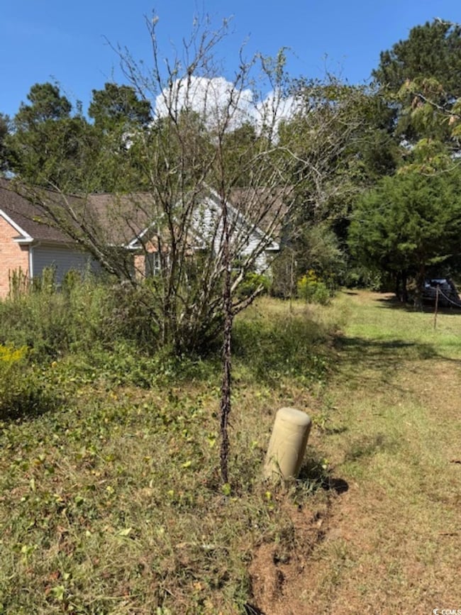 4046 Dewitt Rd, Longs, SC 29568 - photo 5