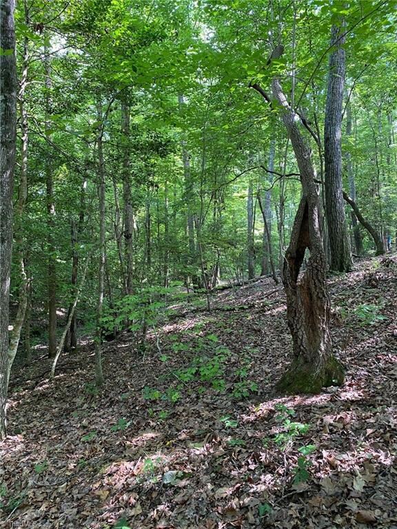 Lot 1 Lassiter Mill Rd, Asheboro, NC 27205 - photo 2