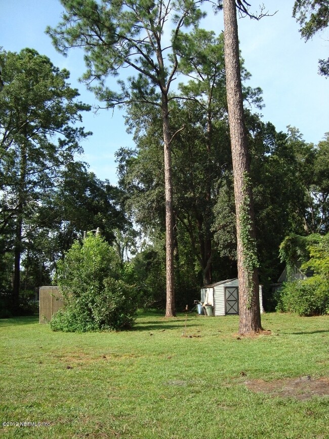 backyard with workshop and greenhouse