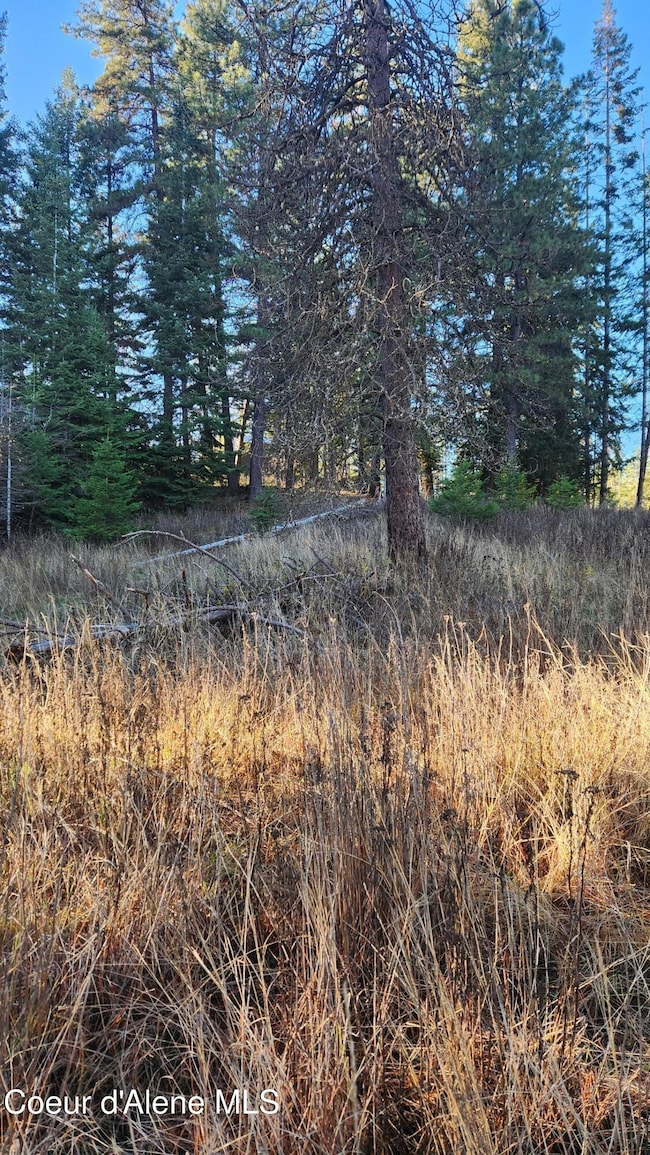 1217 S Ponderosa Dr, Coeur D'Alene, ID 83814 - photo 4