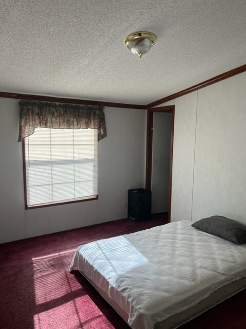 2705 Cavalry Rd, Penhook, VA 24137 - photo 6