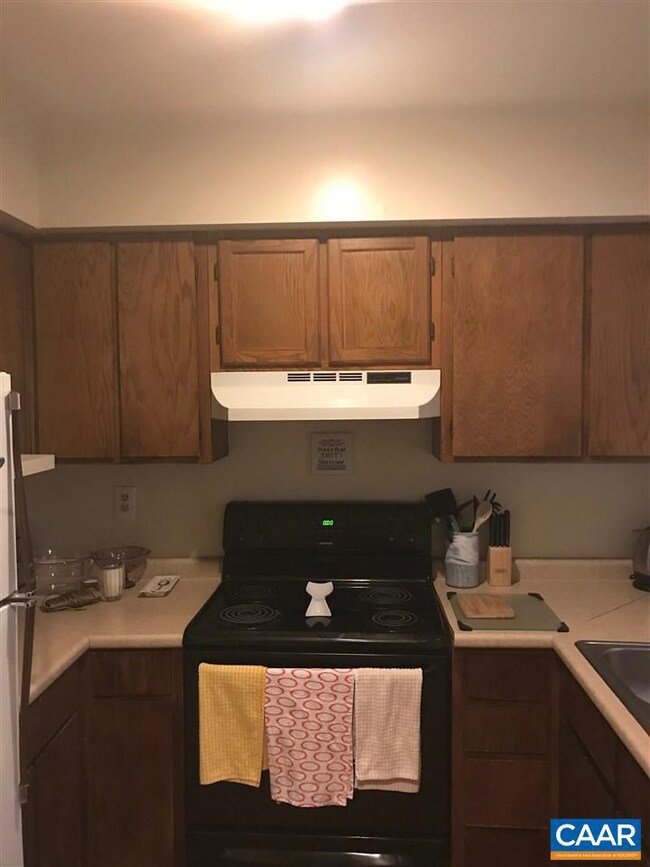 1303 Wertland St unit A4, Charlottesville, VA 22903 - photo 4
