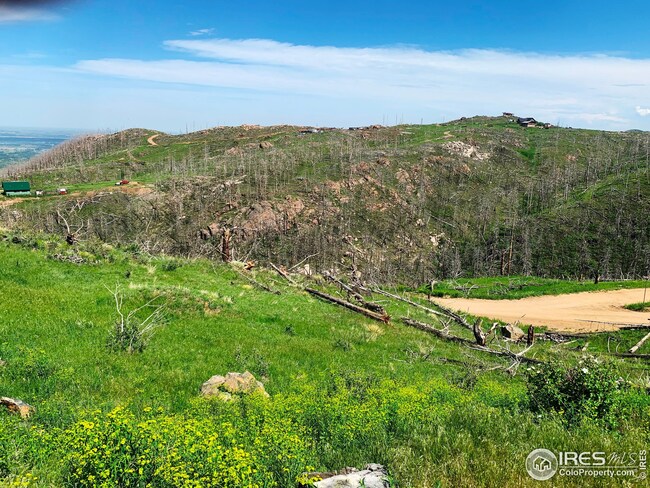 1500 Whale Rock Rd, Bellvue, CO 80512 - photo 6