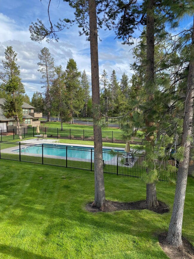 Pool view summer