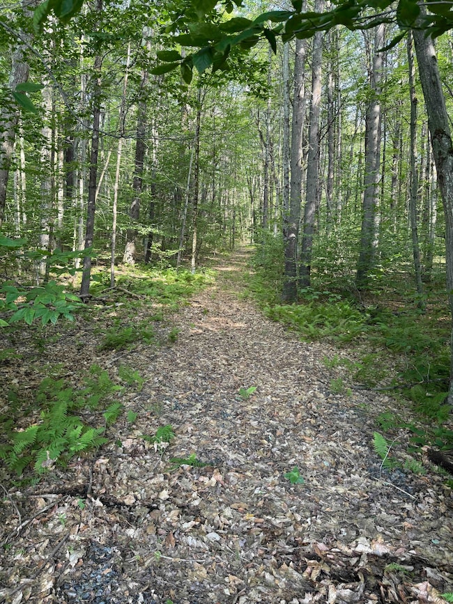 0 Maple Grove Rd unit 24149548, Northampton, NY 12134 - photo 7