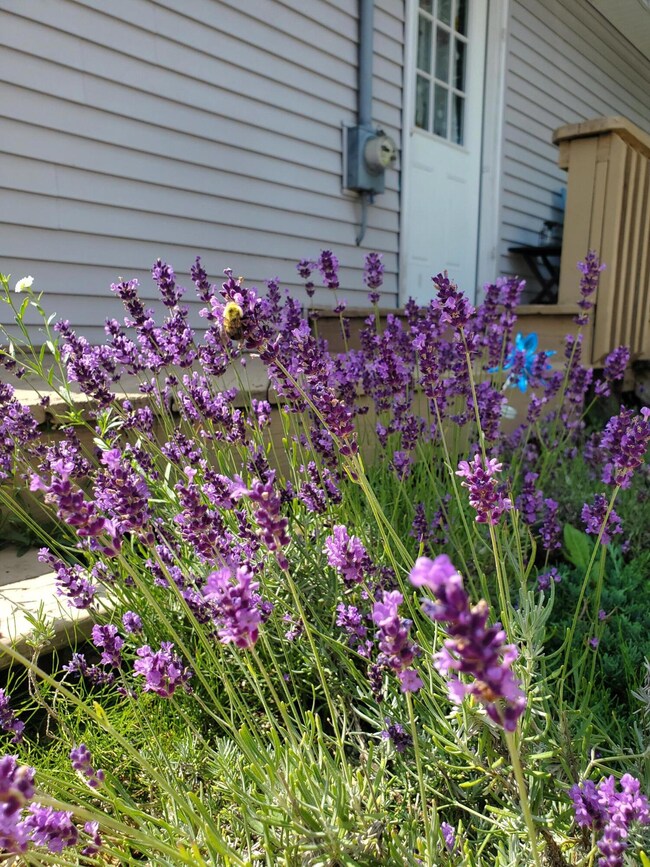 2913 County Line Rd W, Manistee, MI 49660 - photo 5