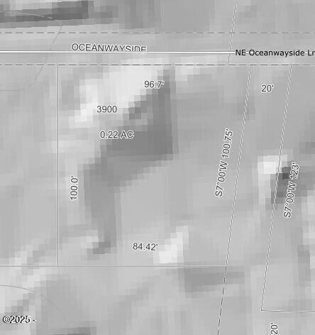 Lidar Topo Map