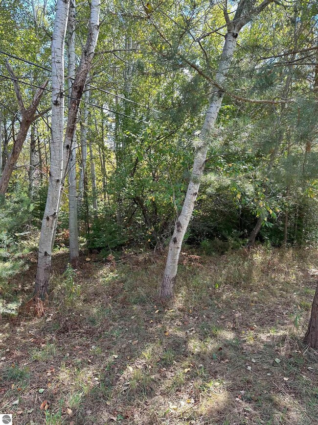 7191 Old 27, Vanderbilt, MI 49795 - photo 5